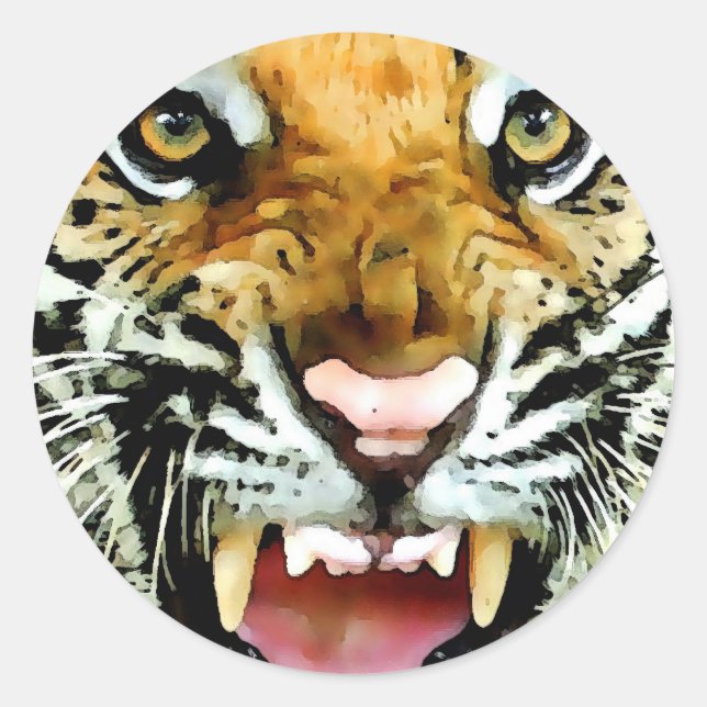 Eyes of Tiger Classic Round Sticker (Front)