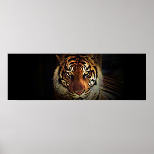 Eyes of Tiger in Shadow Door Poster Print
