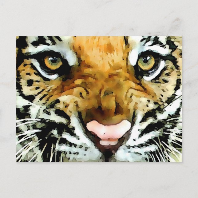 Eyes of Tiger Postcard (Front)