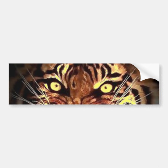 Eyes of Wild Sumatran Tiger Bumper Sticker (Front)