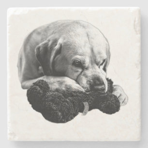 Eyes on the Prize Stone Coaster