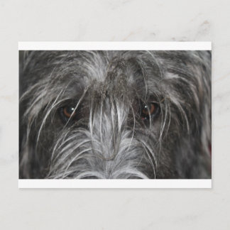 Eyes that mesmerise postcard