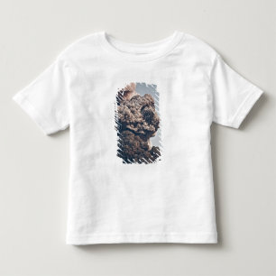 Eyjafjalljokull Volcanic Eruption Toddler T-Shirt