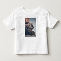 Eyjafjalljokull Volcanic Eruption