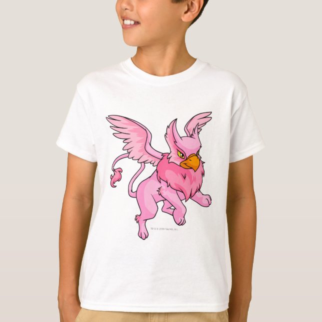 Eyrie Pink T-Shirt (Front)
