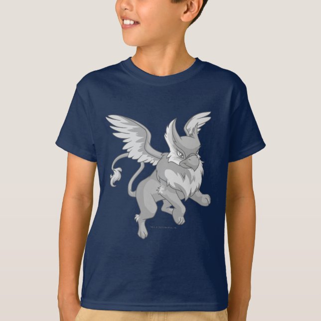 Eyrie Silver T-Shirt (Front)