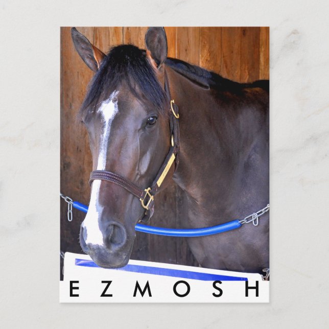 Ezmosh Postcard (Front)