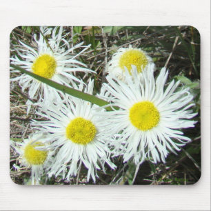 F10 White Wildflowers Tufted Fleabane Mouse Pad