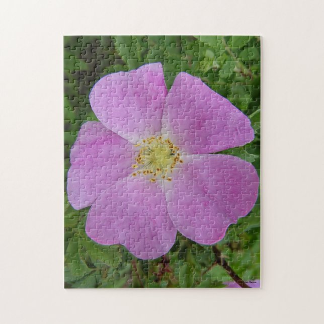F11 Wild Rose "Rosa arkansana" Jigsaw Puzzle (Vertical)