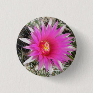 F12 Ball Cactus "Escobaria vivipara" 3 Cm Round Badge