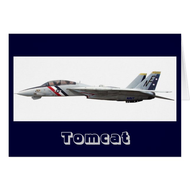 F14, Tomcat (Front Horizontal)