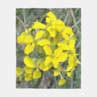 F14 Yellow Wildflowers