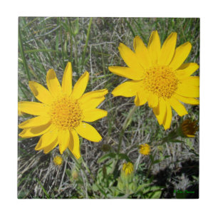 F15 Yellow Wildflowers Sneezeweed Ceramic Tile