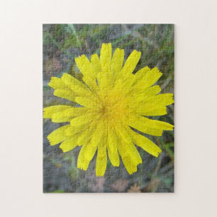 F16 Yellow Wildflower King Devil Jigsaw Puzzle