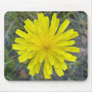 F16 Yellow Wildflower King Devil Mouse Pad