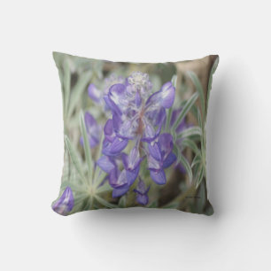 F18 Purple Wildflowers Annual Lupine Cushion