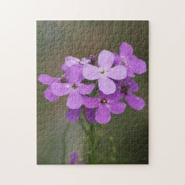 F19 Purple Wildflowers Dames Rocket Jigsaw Puzzle (Vertical)