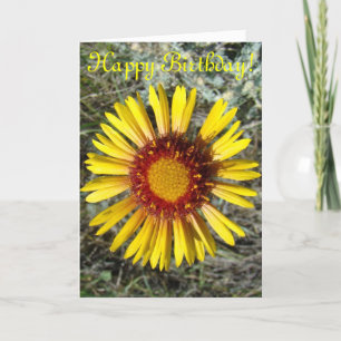 F1 Yellow Wildflower Gaillardia Card