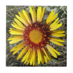 F1 Yellow Wildflower Gaillardia Ceramic Tile