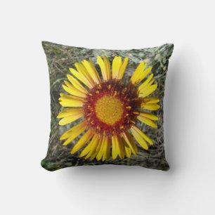 F1 Yellow Wildflower Gaillardia Cushion