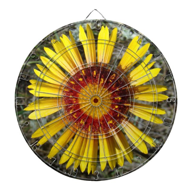 F1 Yellow Wildflower Gaillardia Dartboard (Front)
