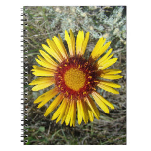 F1 Yellow Wildflower Gaillardia Notebook