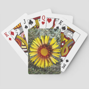 F1 Yellow Wildflower Gaillardia Playing Cards