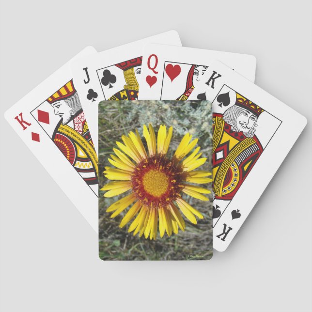 F1 Yellow Wildflower Gaillardia Playing Cards (Back)