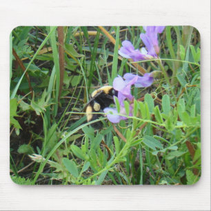 F2 Bee on Purple Wildflowers Mouse Pad