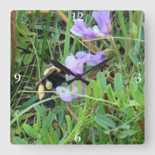 F2 Wild Bee on Purple Wildflowers Square Wall Clock