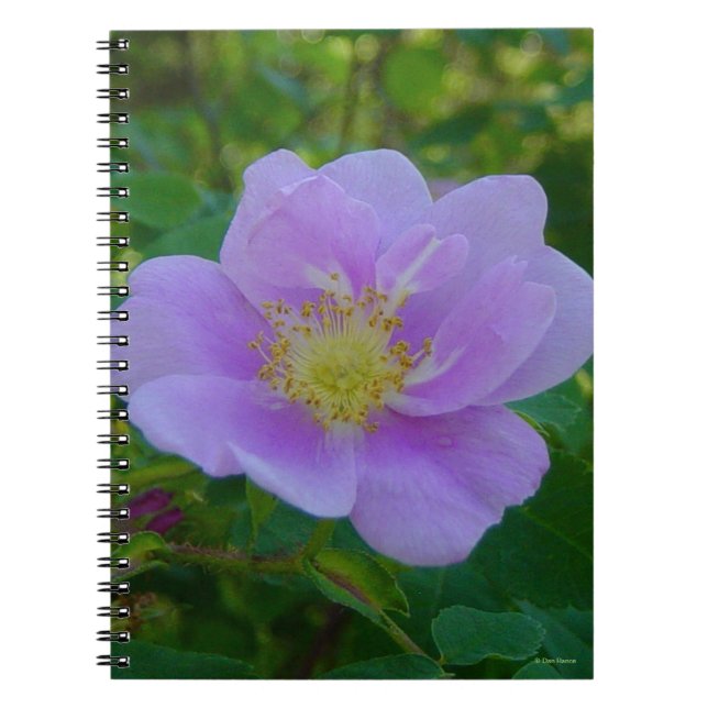 F37 Wild Rose Notebook (Front)