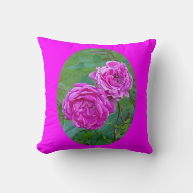 F38 Pink Garden Roses Cushion (Front)