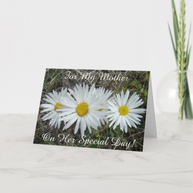 F42 White Wildflowers Smooth Aster Card (Front)