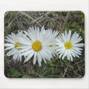 F42 White Wildflowers Smooth Aster Mouse Pad