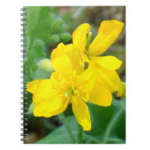 F44 Yellow Wildflower Wild Mustard Notebook
