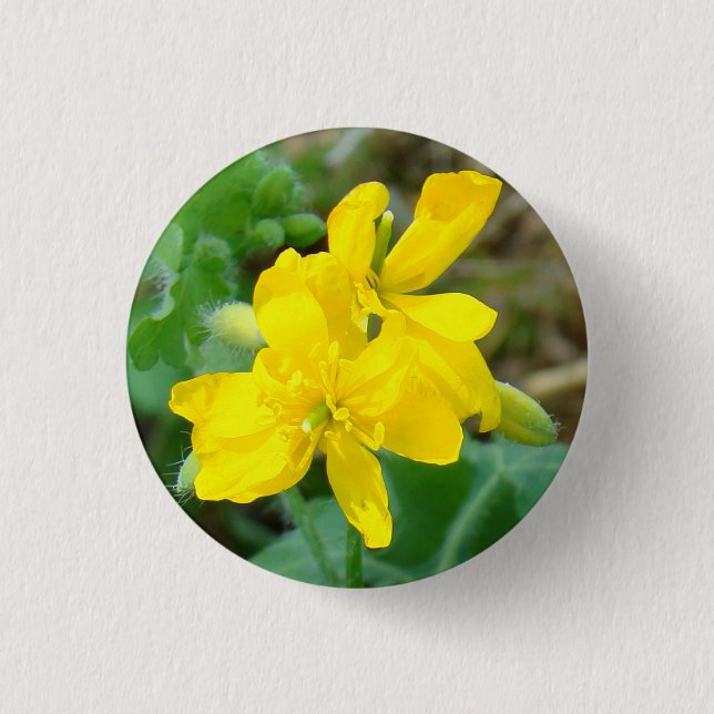 F44 Yellow Wildflowers Wild Mustard 3 Cm Round Badge (Front)