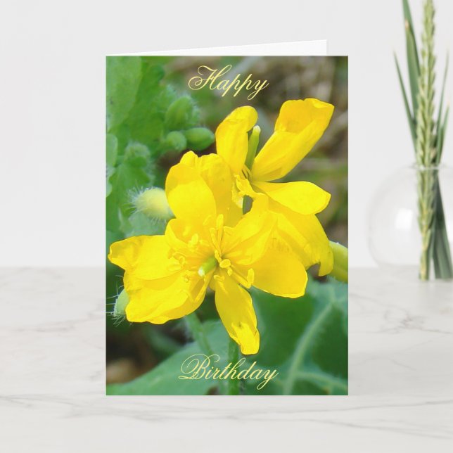 F44 Yellow Wildflowers Wild Mustard Card (Front)