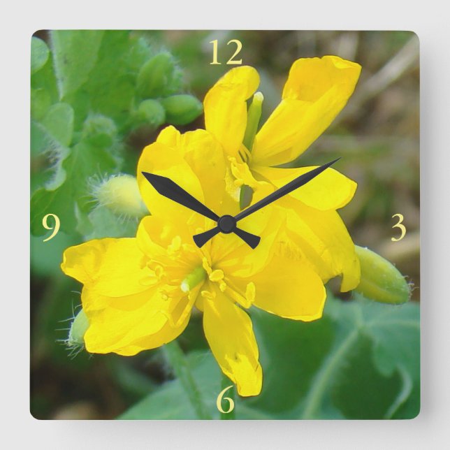 F44 Yellow Wildflowers Wild Mustard Square Wall Clock (Front)