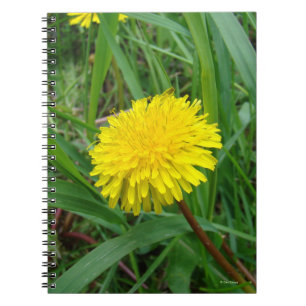 F45 Dandelion Notebook