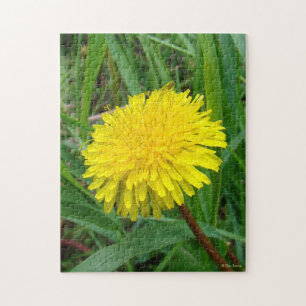 F45 Dandelion "Taraxacum officinale" Jigsaw Puzzle