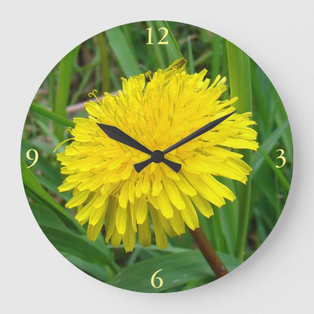 F45 Dandelion "Taraxacum officinale" Large Clock (Front)