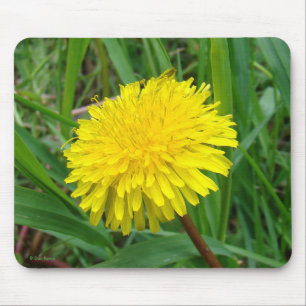 F45 Dandelion "Taraxacum Officinale" Mouse Pad