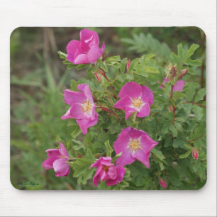 F46 Wild Roses Mouse Pad