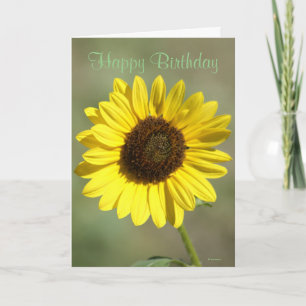 F47 Yellow Wildflower Common Annual Sunflower Card