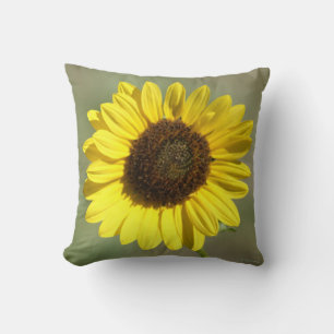 F47 Yellow Wildflower Common Annual Sunflower Cushion