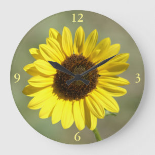 F47 Yellow Wildflower Common Annual Sunflower Large Clock