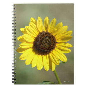 F47 Yellow Wildflower Common Annual Sunflower Notebook