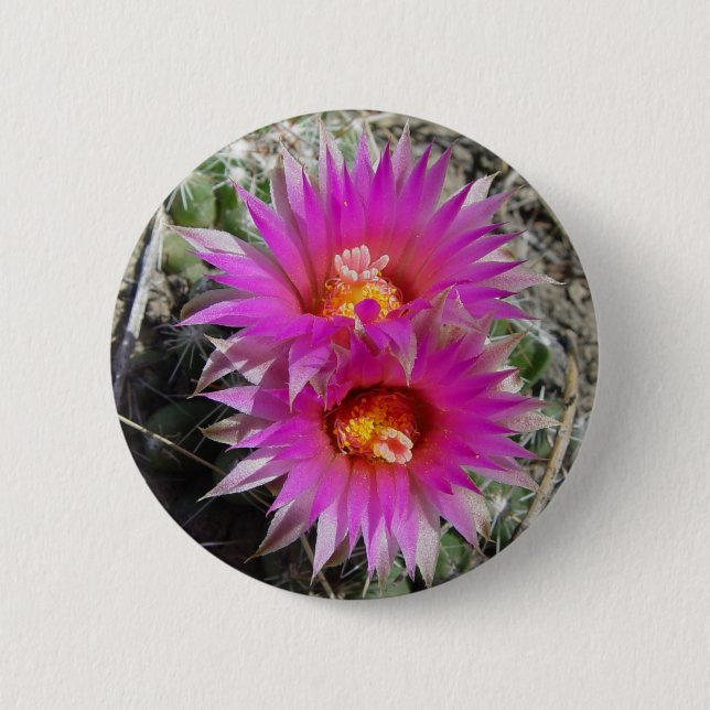 F5 Ball Cactus Flowers "Escobaria vivipara" 6 Cm Round Badge (Front)
