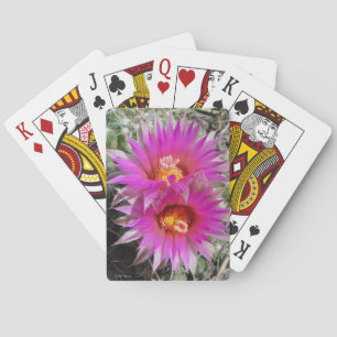 F5 Ball Cactus Flowers "Escobaria vivipara" Playing Cards
