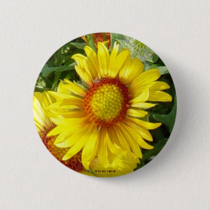 F6 Yellow Wildflower Gaillardia 6 Cm Round Badge